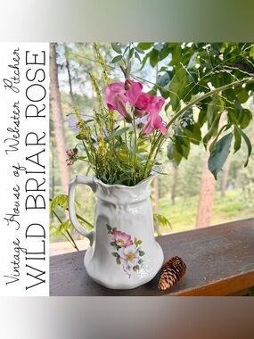 Wild Briar Rose House of Webster Ceramic Pitcher